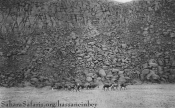 Ouenat: Photo by Ahmed Bey Hassanein on 1923